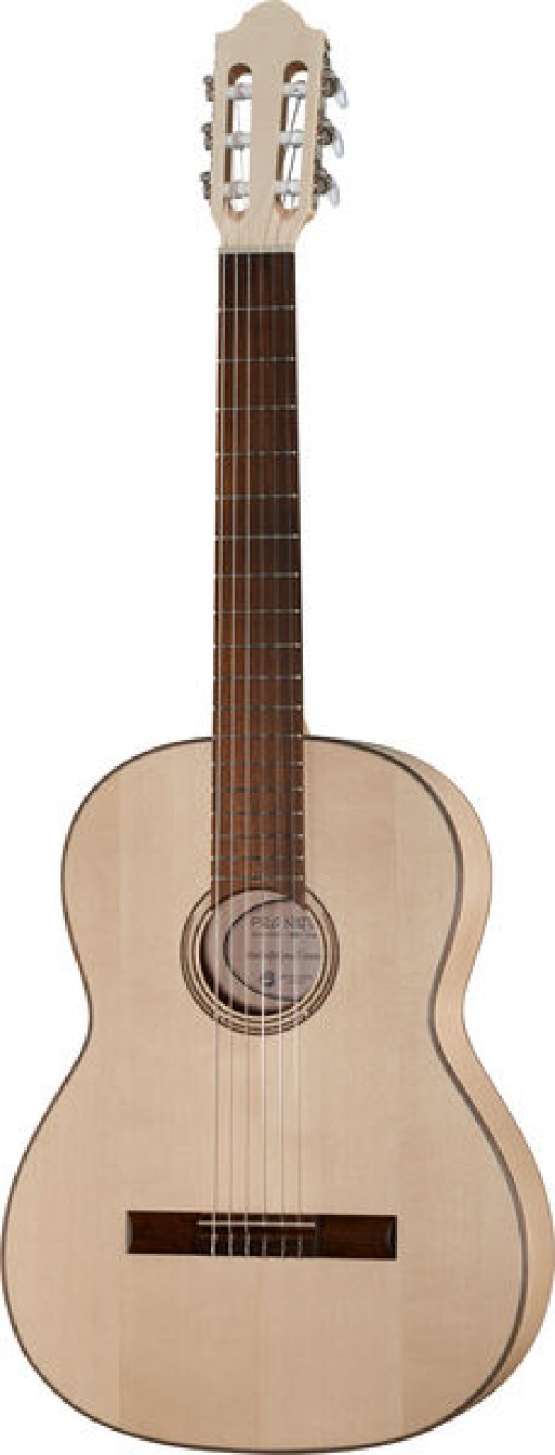Guitare Pro Natura Silver